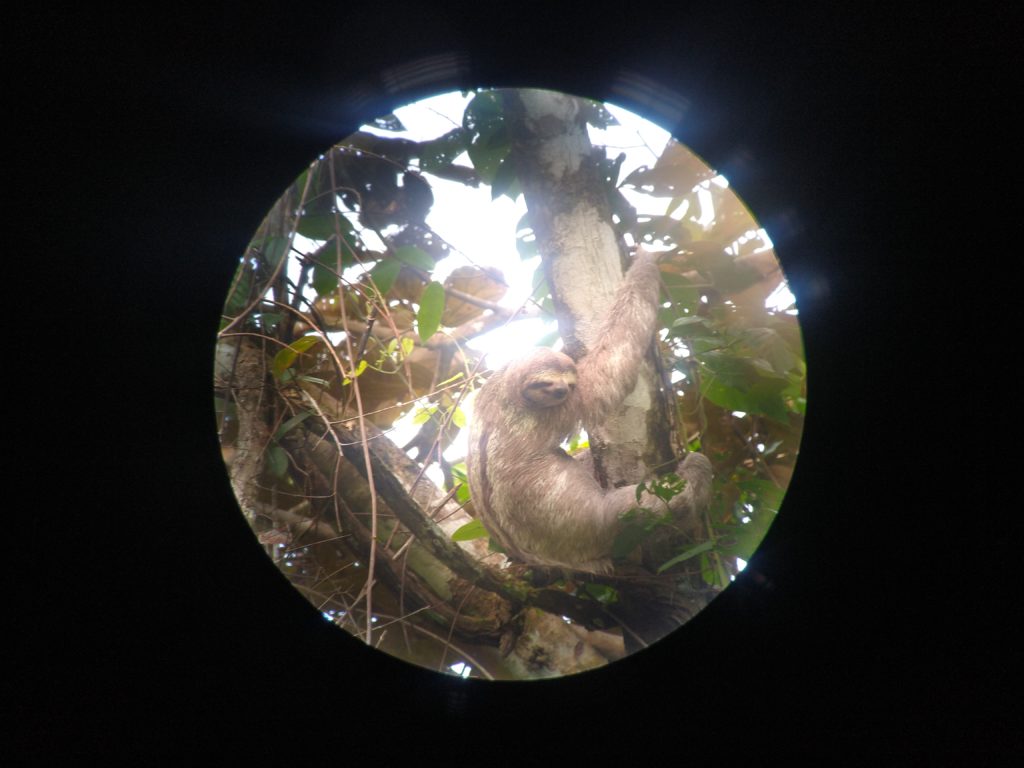 Manuel Antonio National Park