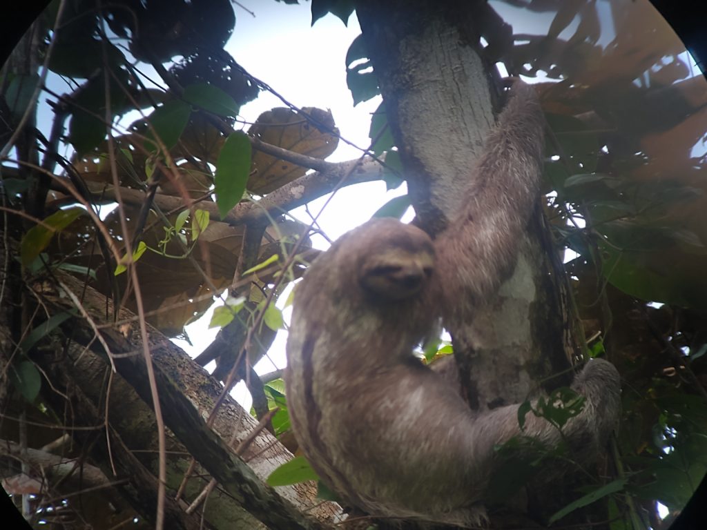 Manuel Antonio National Park