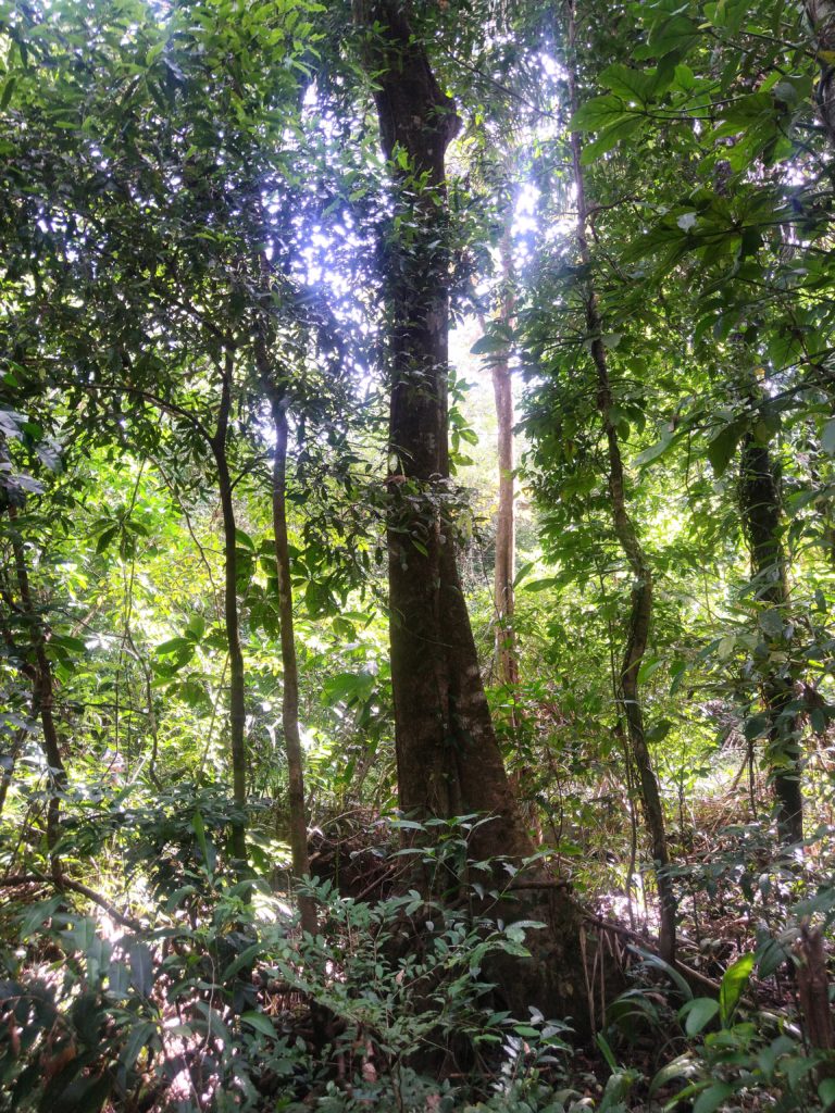 Manuel Antonio National Park