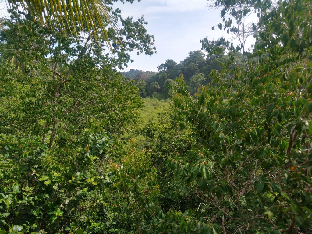 Manuel Antonio National Park