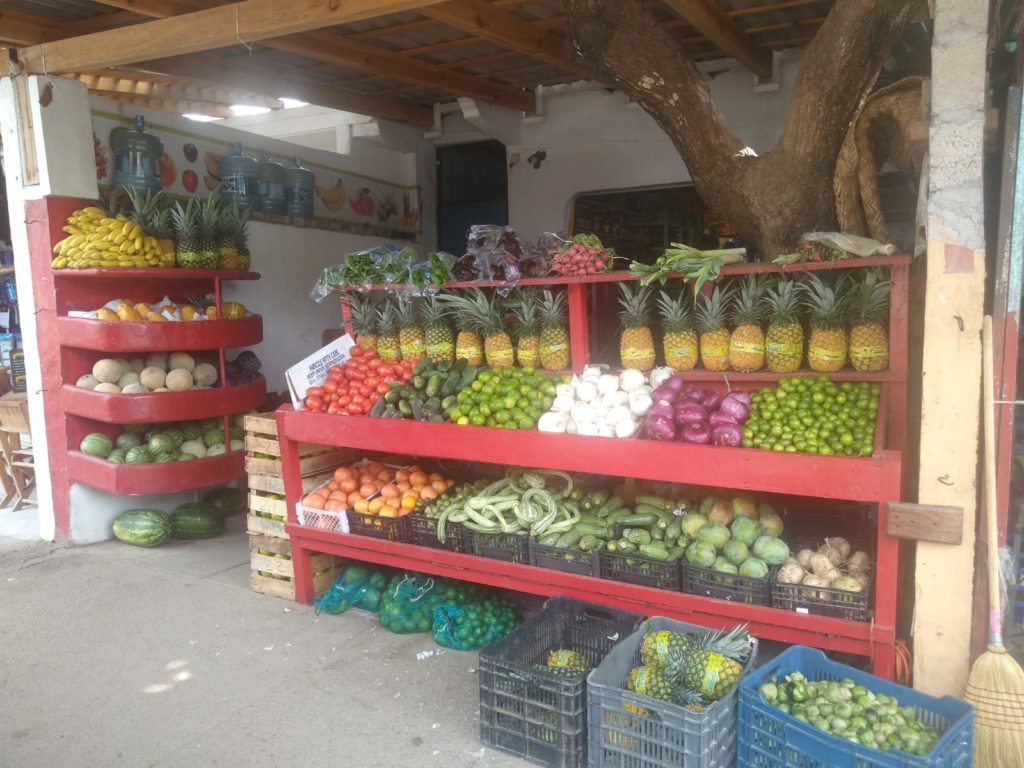 Life at Sayulita beach