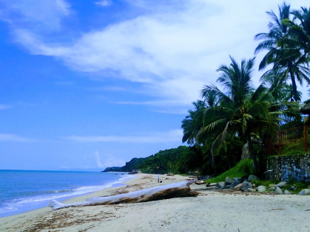 Life at Sayulita beach