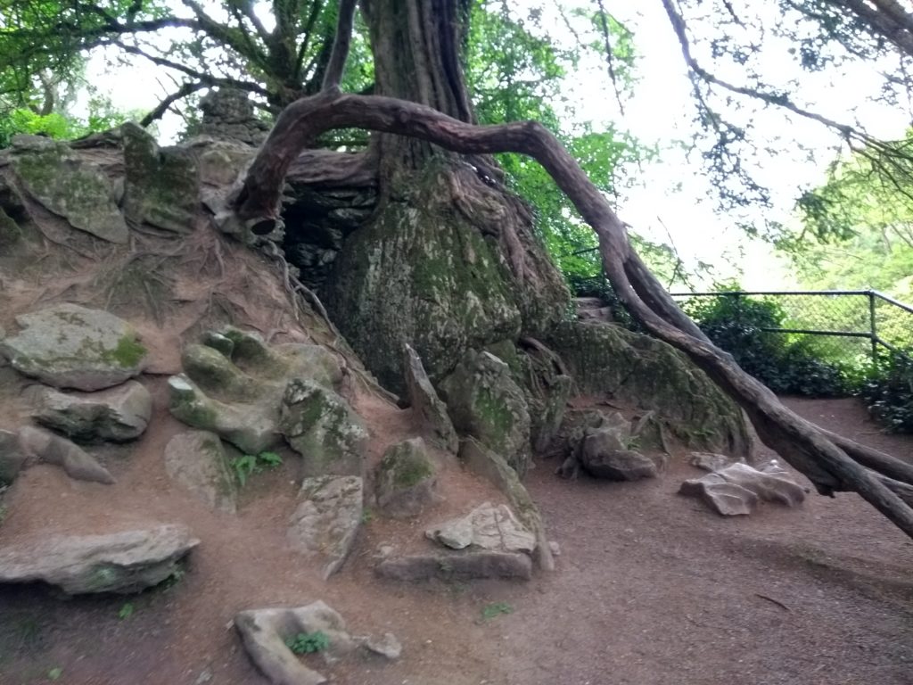 Rock Close, Cork