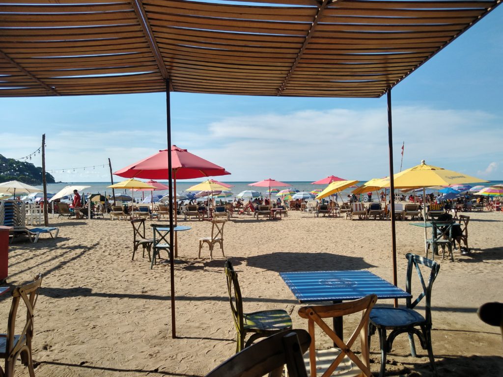 Turtle hatchery in sayulita