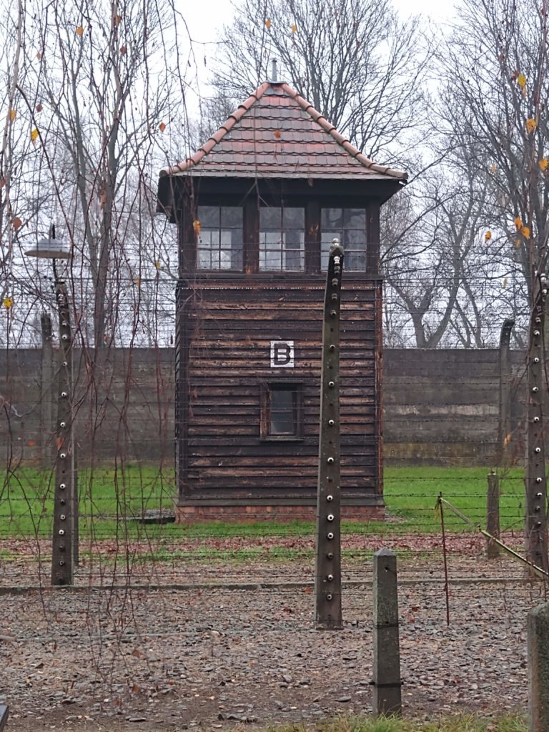 Auschwitz watches