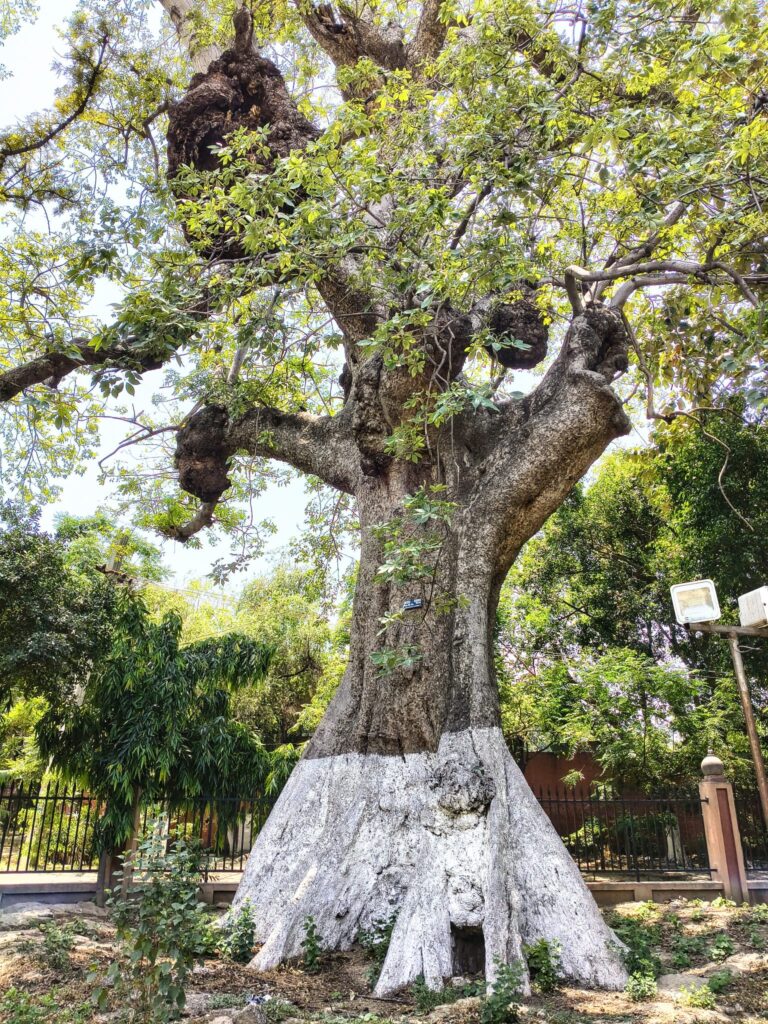Amritsar